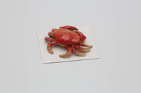 Angeles Dungeness Crab Porcelain Miniature