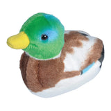 Mallard Duck Stuffie
