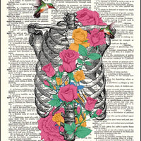 Blooming Ribs and Hummingbird Dictionary Print