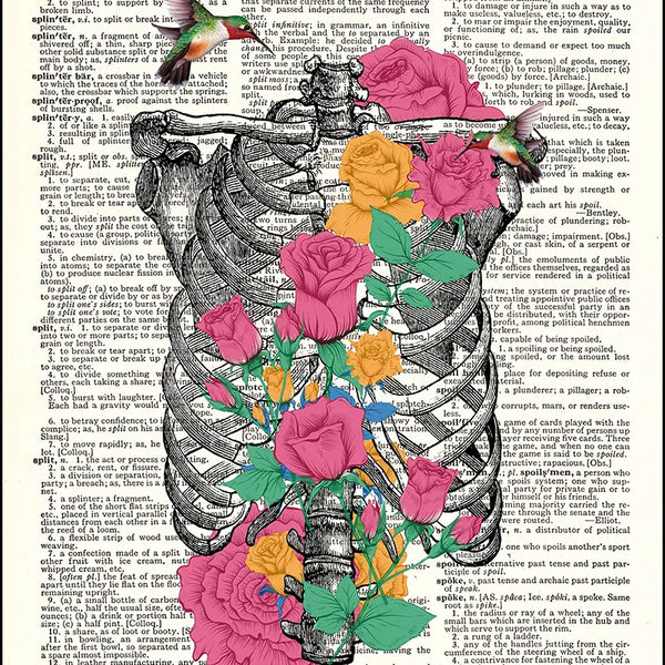 Blooming Ribs and Hummingbird Dictionary Print