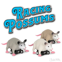 Racing Possums