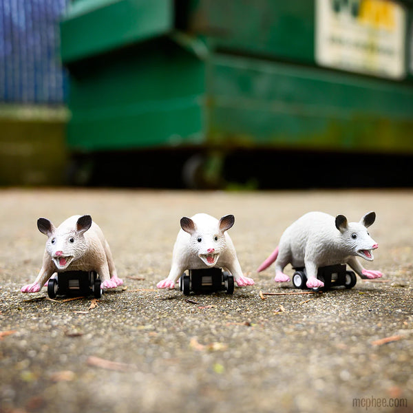 Racing Possums