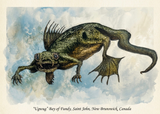 Saint John Cryptid Ugwug Double Sided 5x7 Print