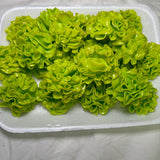 Assorted Acrylic Kitsch Magnets