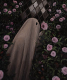 Gloomy Grove "Solace" | Fine Art Print: 8x10