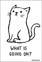 What is going on? Cat Magnet