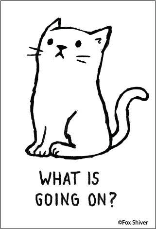 What is going on? Cat Magnet