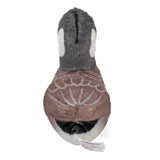 Canada Goose Stuffie