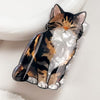 Tortoise Shell Claw Clip