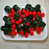 Assorted Acrylic Kitsch Magnets