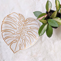 Monstera Leaf Suncatcher Sticker