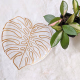 Monstera Leaf Suncatcher Sticker
