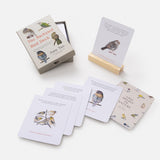 Backyard Birds Tarot Deck