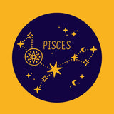 Zodiac Constellation Pins