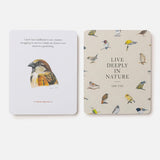Backyard Birds Tarot Deck