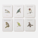 Backyard Birds Tarot Deck