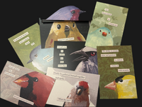 Assorted Troubled Birds Postcards