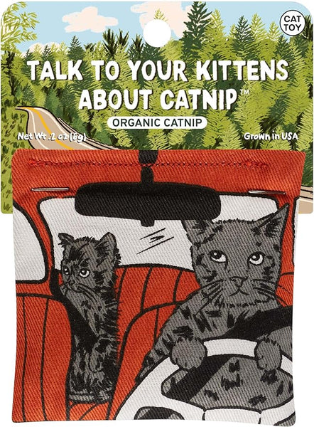 Talk To Your Kittens About Catnip Cat Nip Toy