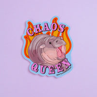 Chaos Queen Moo Deng Baby Hippo  Vinyl Sticker