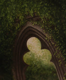 Gloomy Grove "Forever & Always" | Fine Art Print: 8x10
