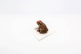 Bufo American Toad Porcelain Miniature