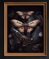 Macabre Moth 8x10 Art Print