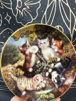 Kitty Cat Dish of the Month