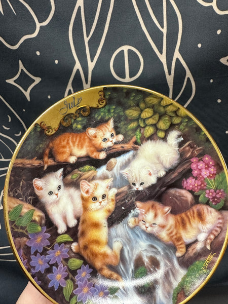 Kitty Cat Dish of the Month