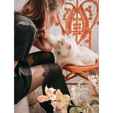 Over-The-Knee Lace Crown Tights