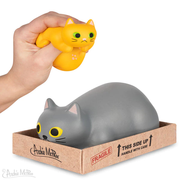 Kitty In a Box