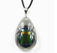 Clear Green Chafer Beetle Necklace