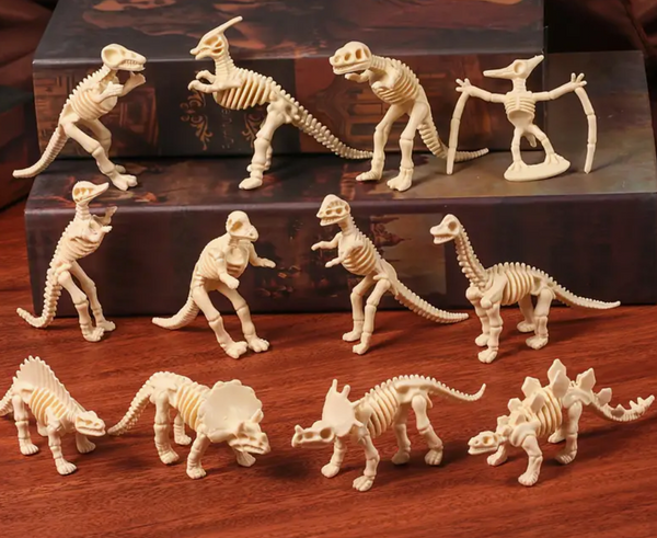 Dino Fossil Skeletons