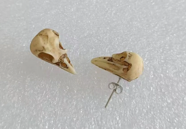 Raven Skull Stud Earrings