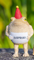 Party Frogs