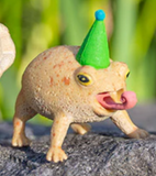 Party Frogs