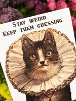 Stay Weird Kitty Greeting Card