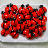 Assorted Acrylic Kitsch Magnets