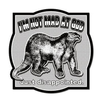 Im not mad at God Just Disappointed vinyl sticker