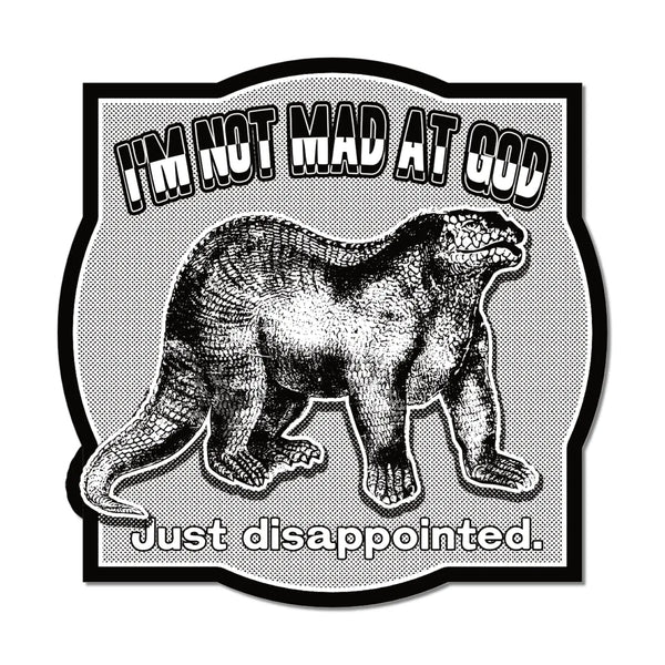 Im not mad at God Just Disappointed vinyl sticker