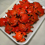 Assorted Acrylic Kitsch Magnets