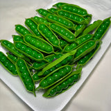 Assorted Acrylic Kitsch Magnets