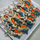 Assorted Acrylic Kitsch Magnets