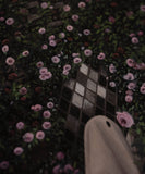 Gloomy Grove "Solace" | Fine Art Print: 8x10