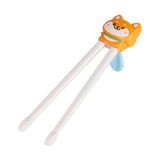 Training Chopsticks - Assorted Styles