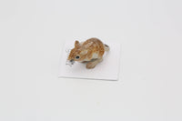 Fresno Kangaroo Rat Porcelain Miniature