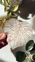 Monstera Leaf Suncatcher Sticker
