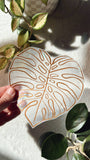 Monstera Leaf Suncatcher Sticker
