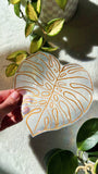 Monstera Leaf Suncatcher Sticker
