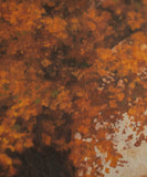 Gloomy Grove "The Reader" Fine Art Print: 8x10
