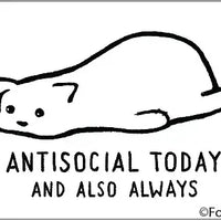 Antisocial Today and Also Always Magnet